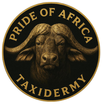 Pride of Africa Taxidermy Logo Image